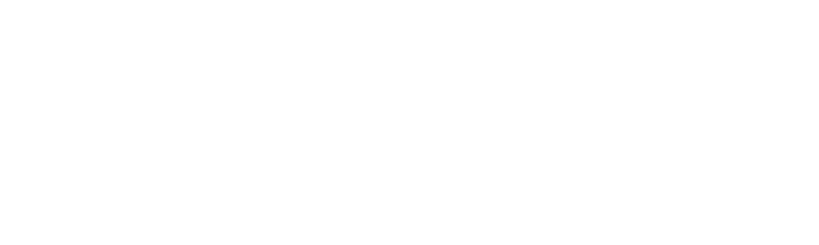 GingerTek Solutions